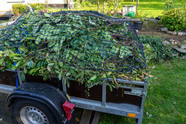 Best Carpet Removal and Disposal  in Piqua, OH